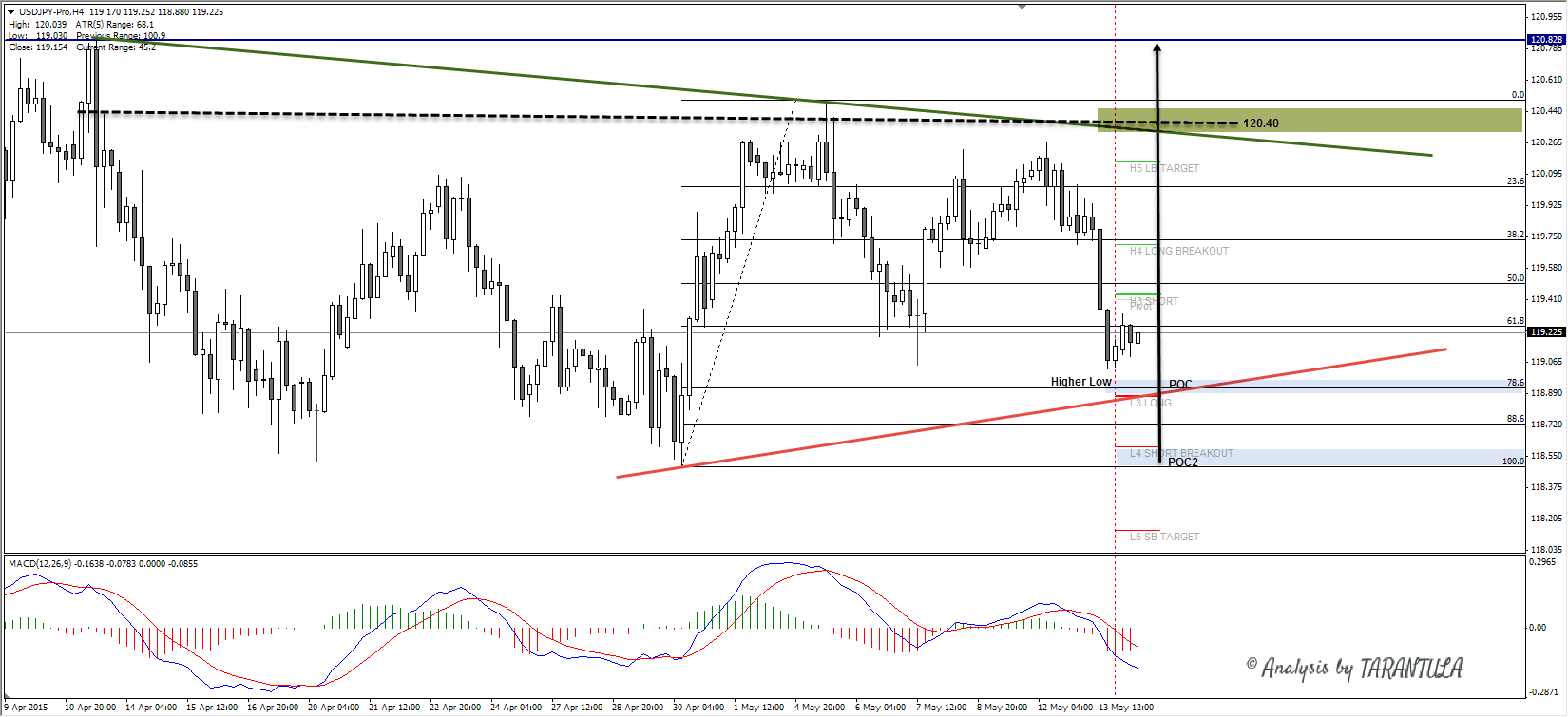Forex club cluster