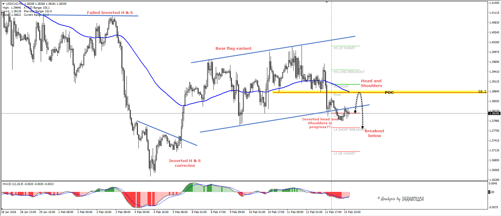 Forex alliance cargo saskatoon