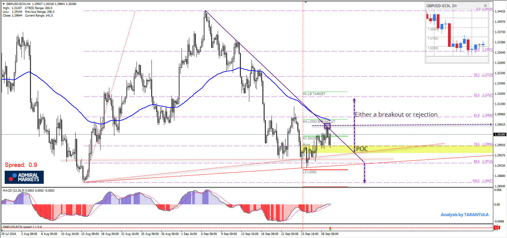 forex rejection candle