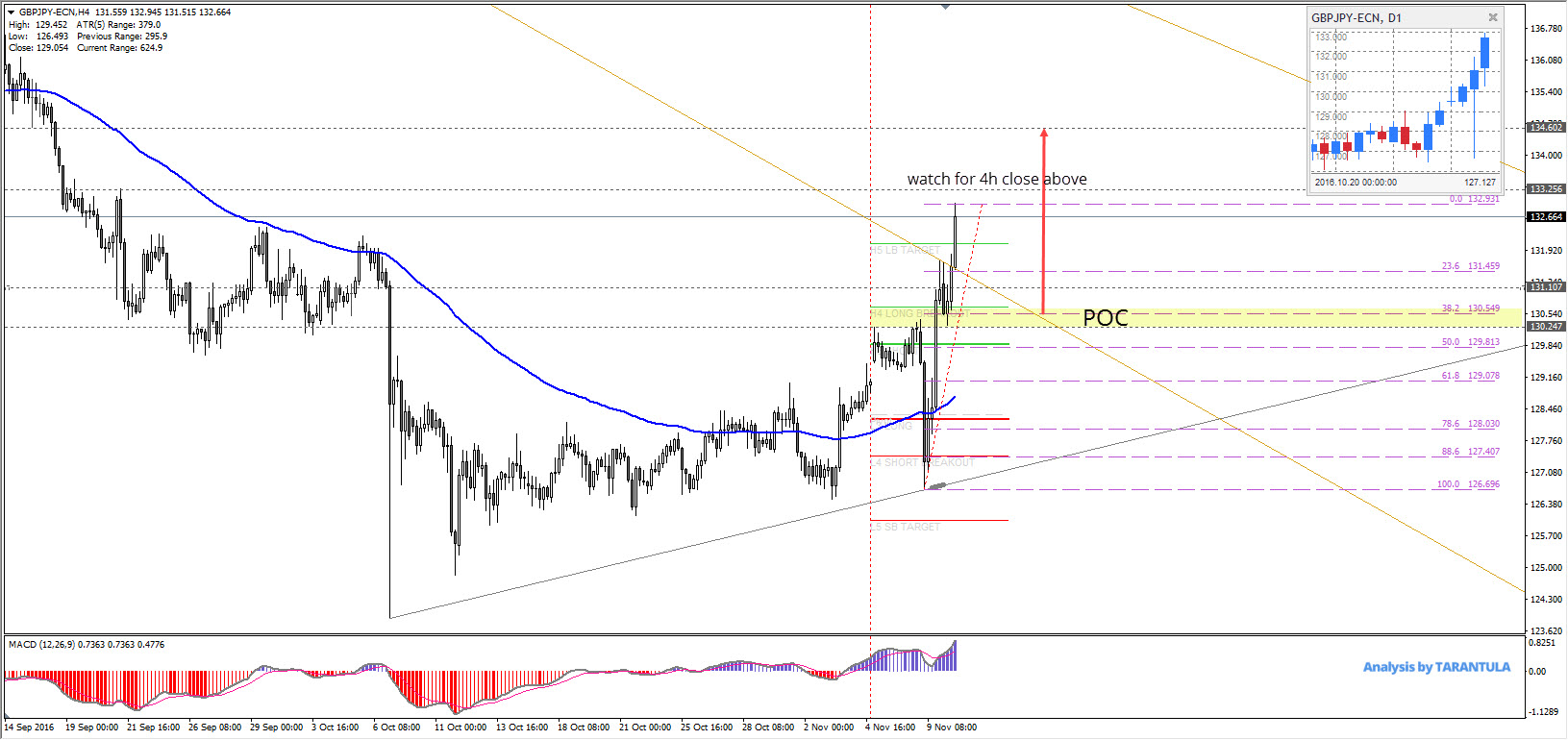Prognoze si analize forex