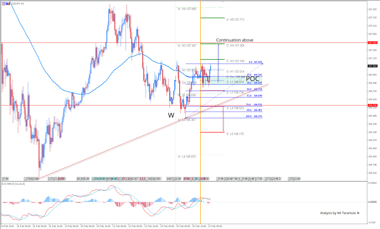 M w pattern forex