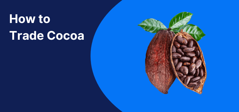Cocoa Trading