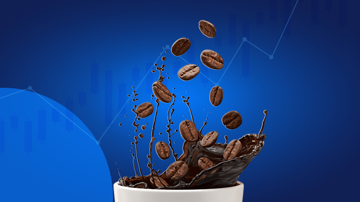 Como Investir em Café?
