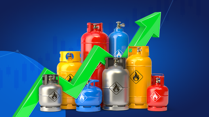 Natural gas representation with gas price vector