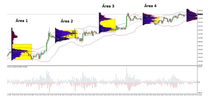 Áreas en el gráfico de Market Profile