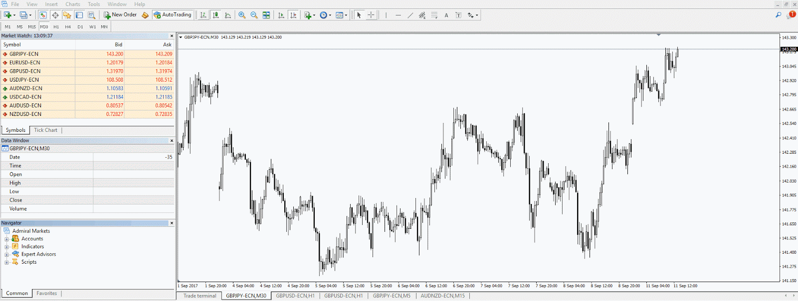 MT4SE Tutorial GIF