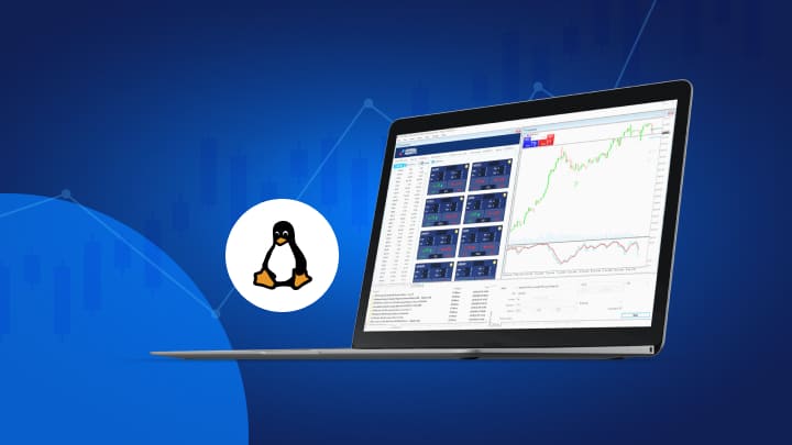 metatrader linux