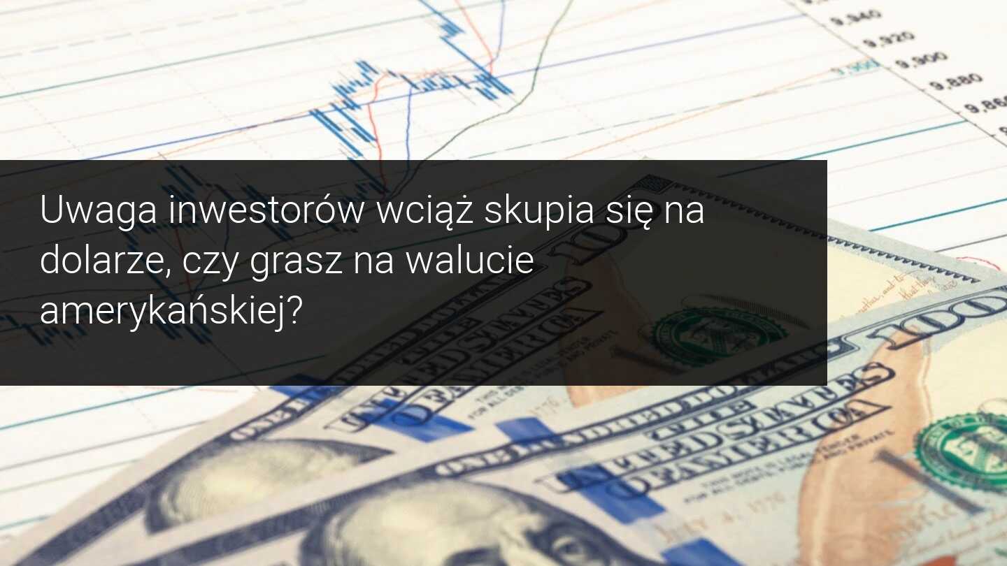 rynek dolara, eurusd, fed