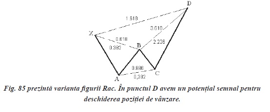 ANALIZA PROPORŢIONALĂ PENTRU PIAȚA FOREX (III) - car