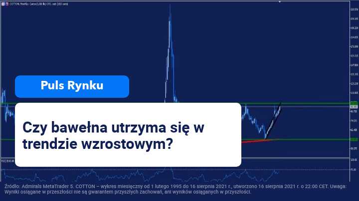 bawełna, forex, giełda