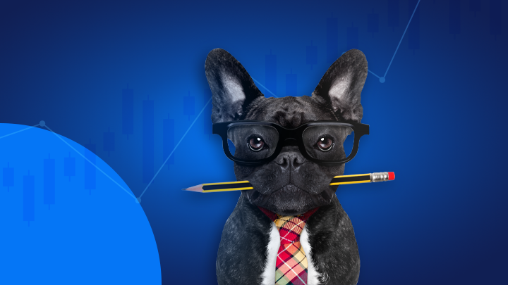 dogs_of_dow_strategia