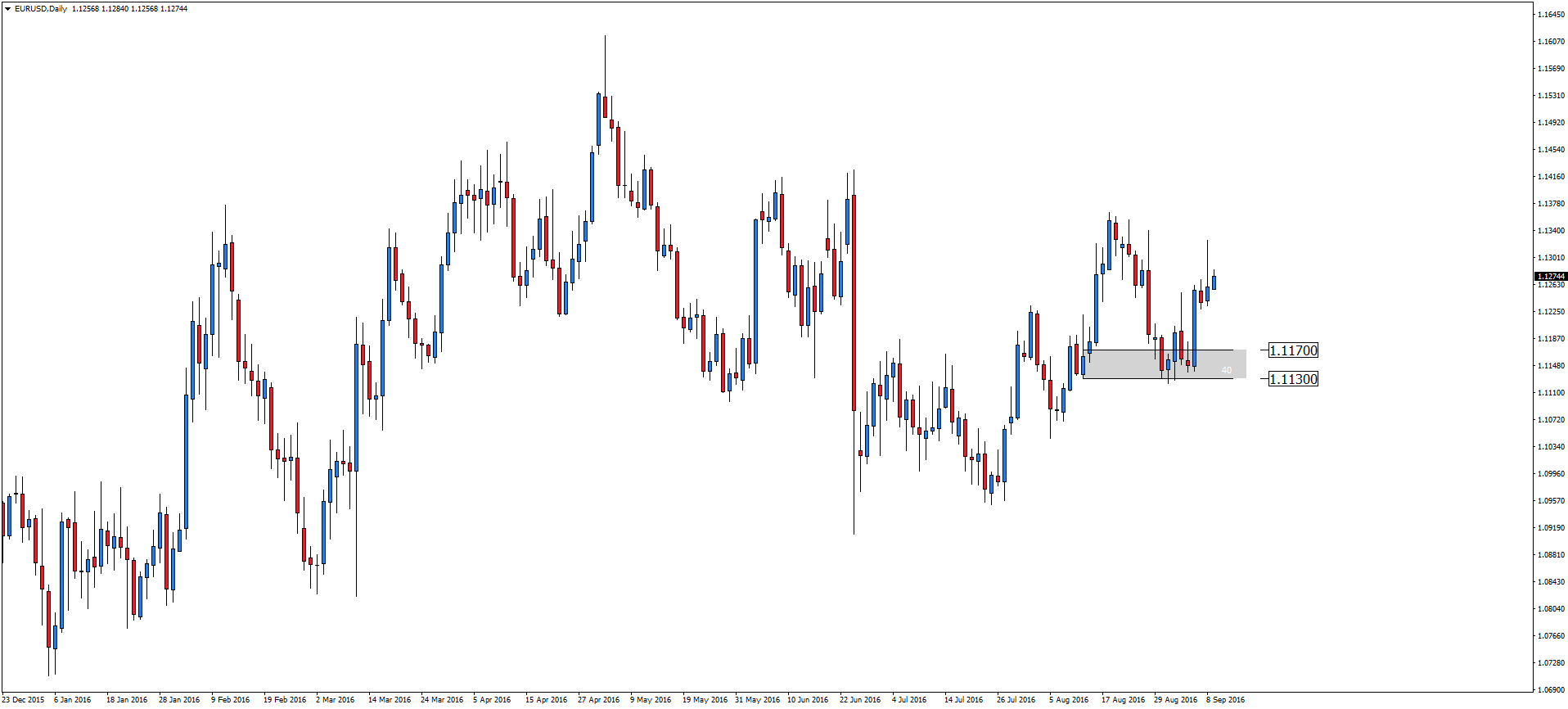 Raporty forex premium