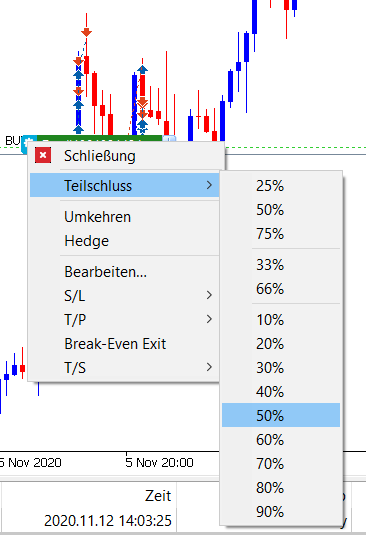 Expert Advisor MT5 Mini Terminal Teilschluss