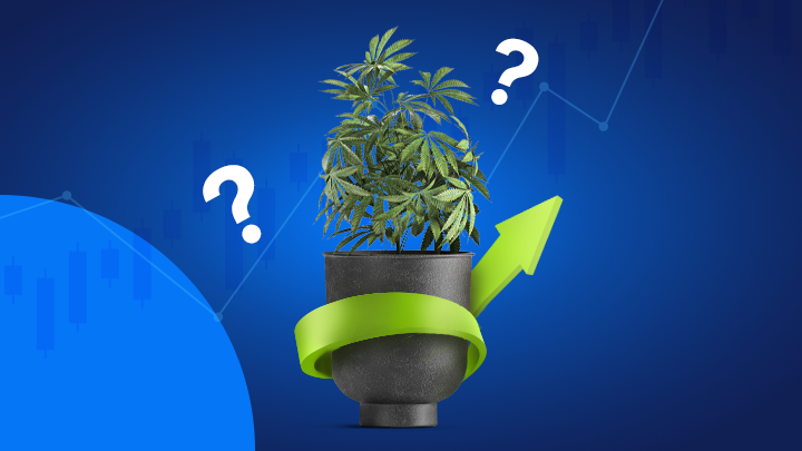 Vaso com cannabis enrolado numa seta verde que sugere investir em Cannabis
