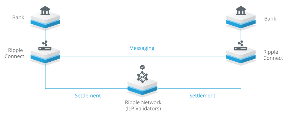 grafika przedstawiająca schemat sieci Ripple 