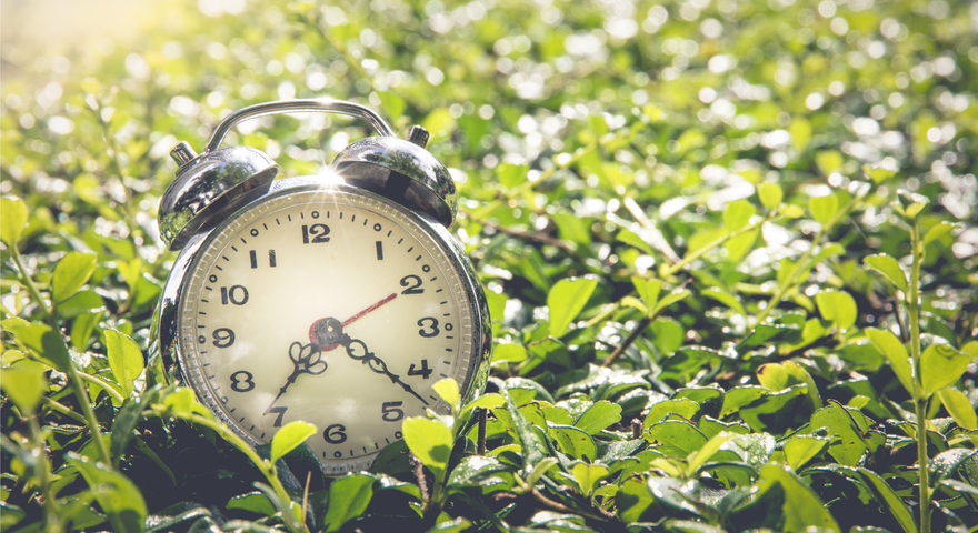 daylight savings usa