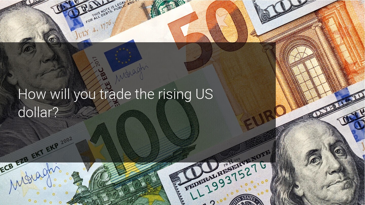 U.S. dollar appreciated for second consecutive week