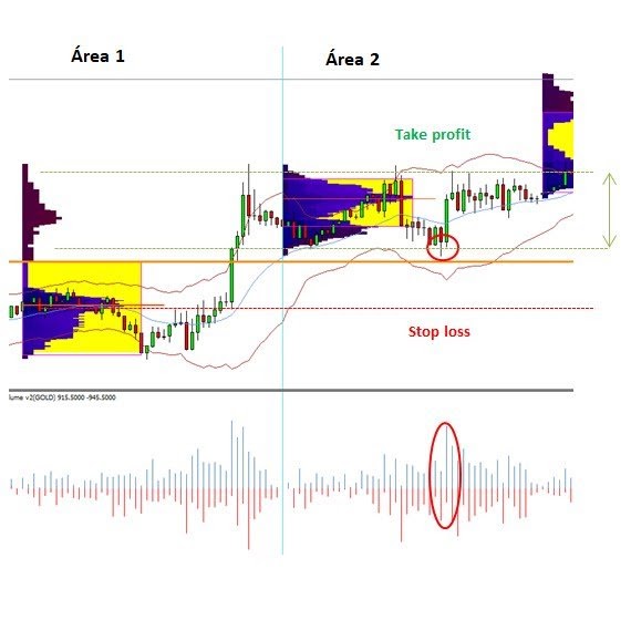 Indicatore market profile per MT4 download - MetaTrader 5 Supreme Edition. Grafico M30 Oro