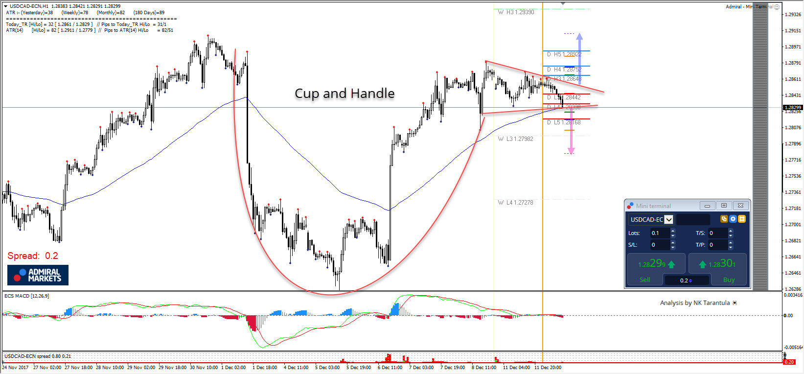 Cup and handle forex
